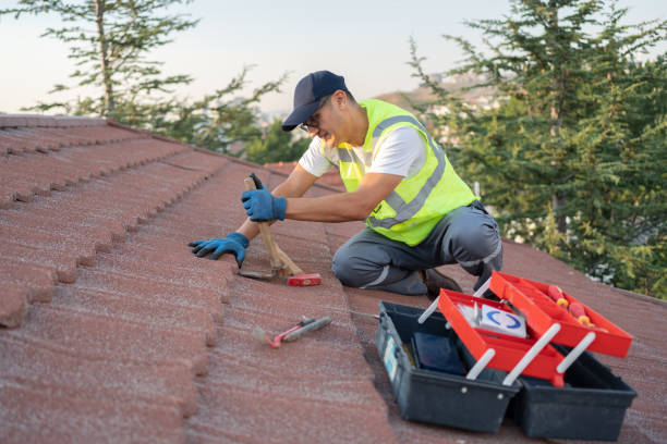 Professional Roofing Contractor in Vinings, GA